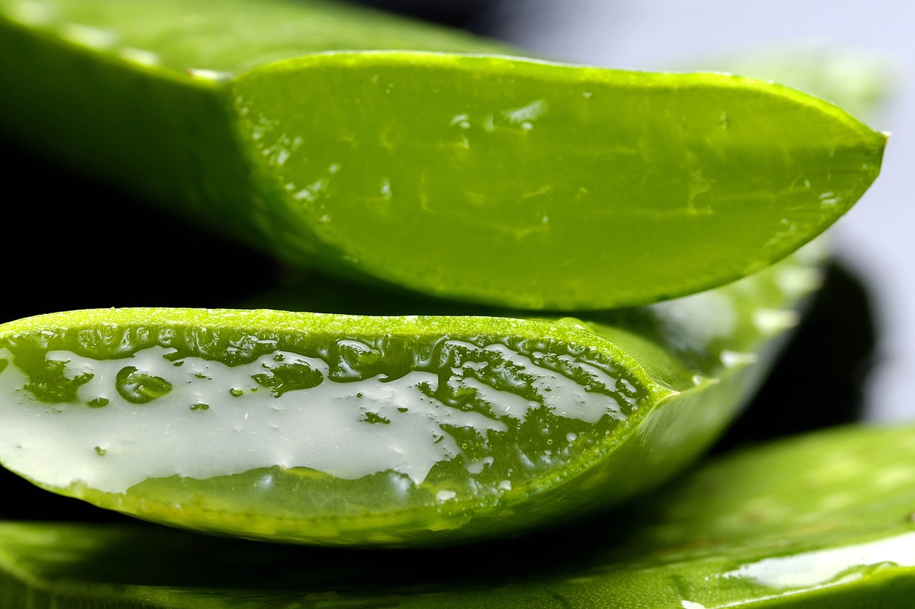 Aloe Vera Pura: Proprietà e Usi in Cucina